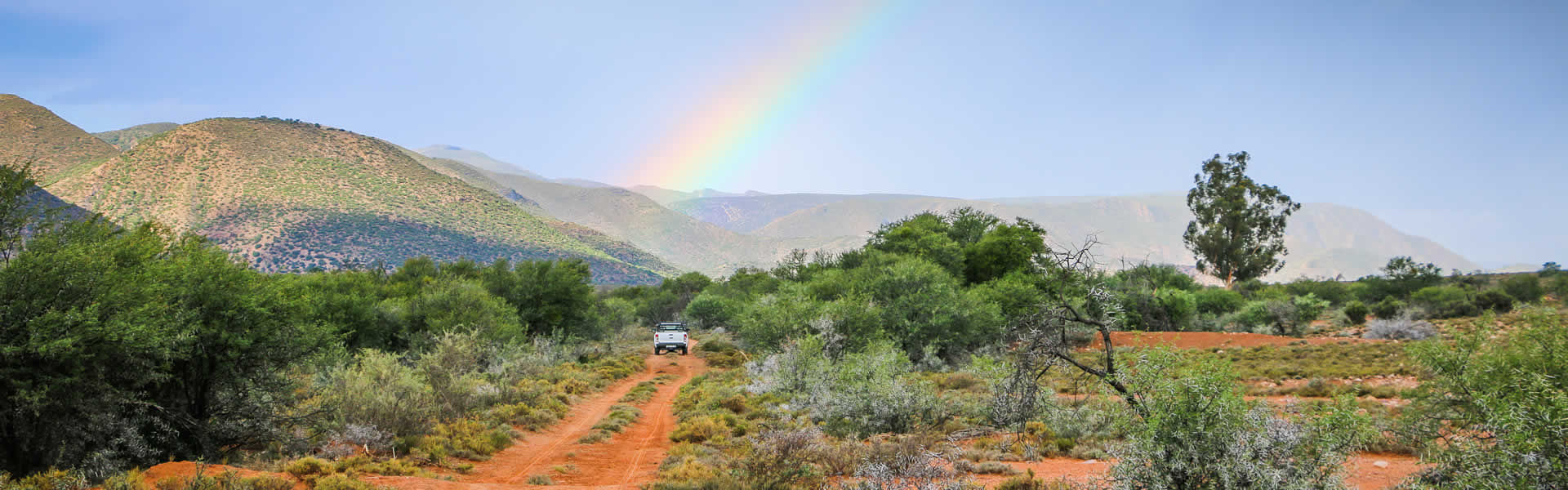 The Karoo says Thank You after some rain